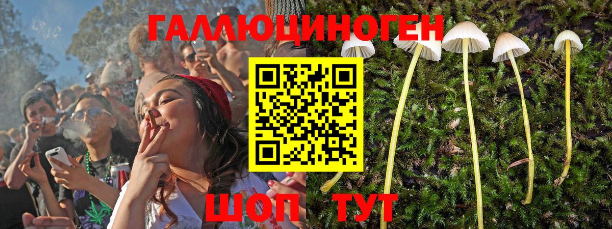 продажа наркотиков  Псилоцибиновые грибы прущие грибы  Кушва  Вход с VPN  Галлюциногенные грибы мицелий 